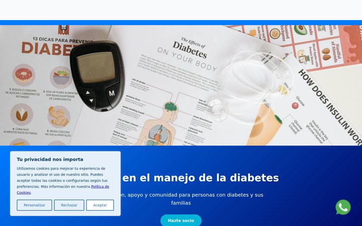 Screenshot of gipuzkoadiabetes.com
