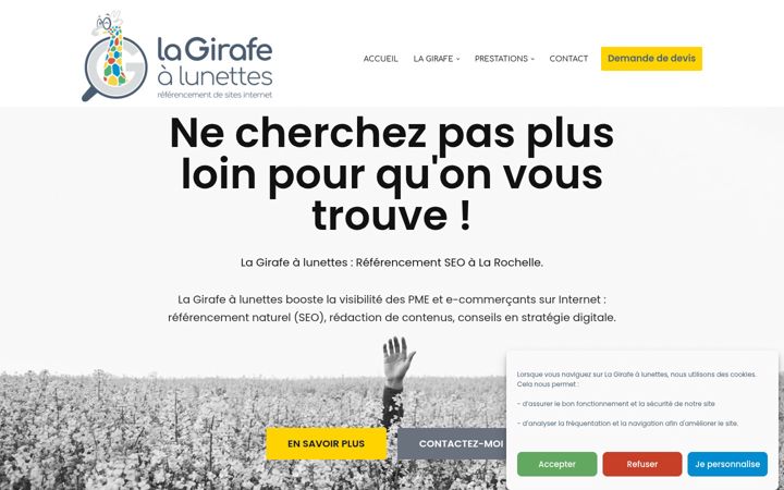 Screenshot of girafe-a-lunettes.fr