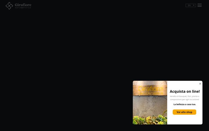 Screenshot of girafiore.com