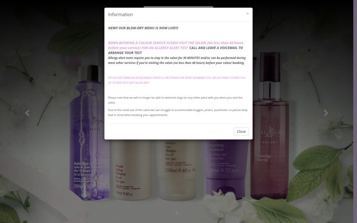 Screenshot of girasoliladies.com