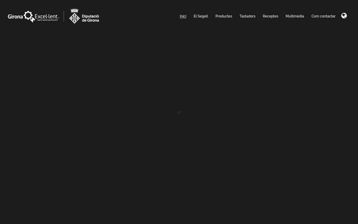 Screenshot of gironaexcellent.cat
