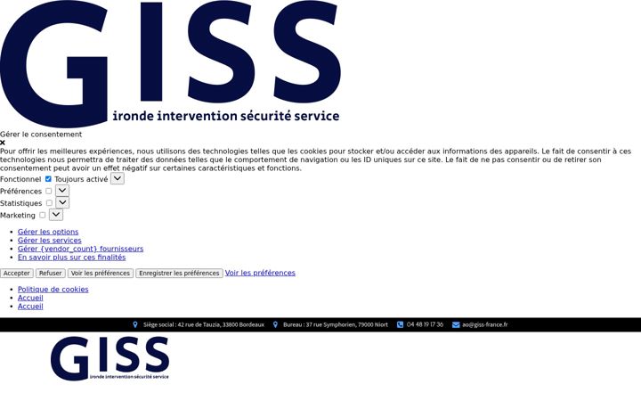 Screenshot of giss-france.fr