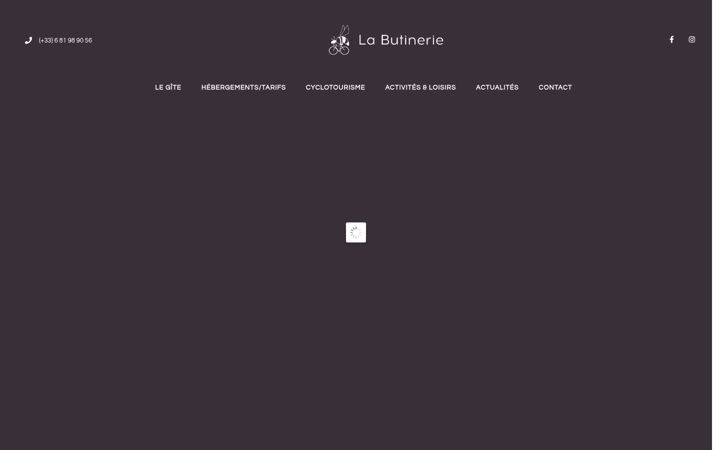 Screenshot of gite-labutinerie.com