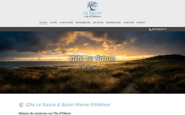 Screenshot of gite-lesaule.fr