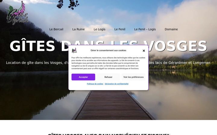 Screenshot of gites-digitale.com