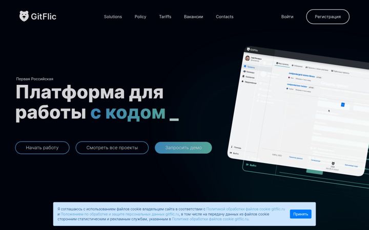 Ekraanipilt saidist gitflic.ru