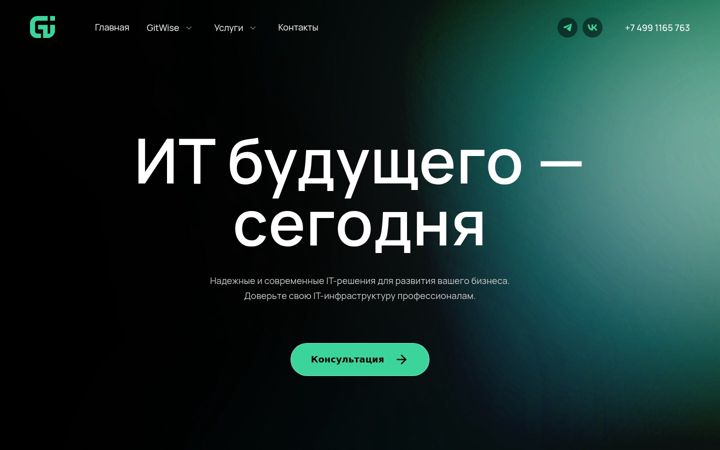 Screenshot of gitwise.ru