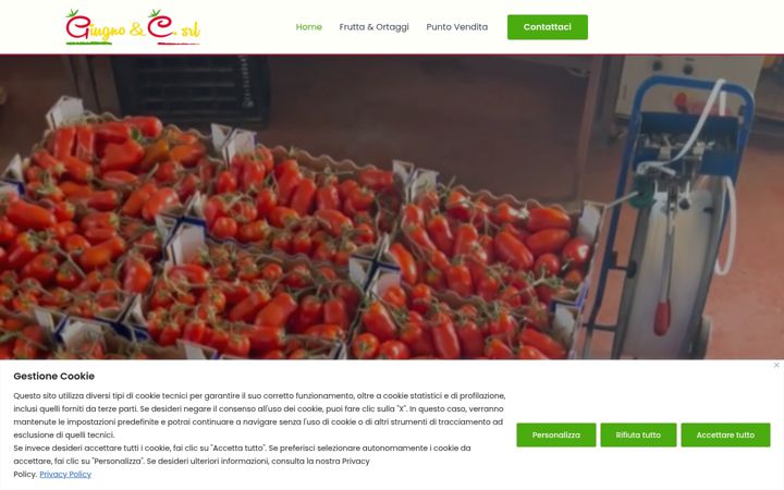 Screenshot of giugnoecsrl.com