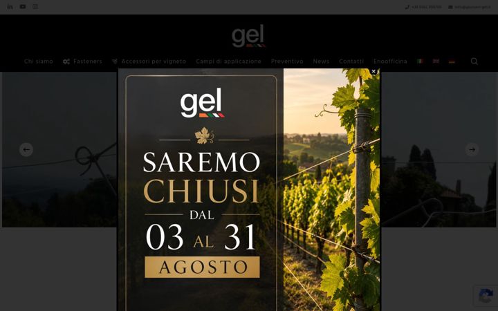 Screenshot of giussani-gel.com