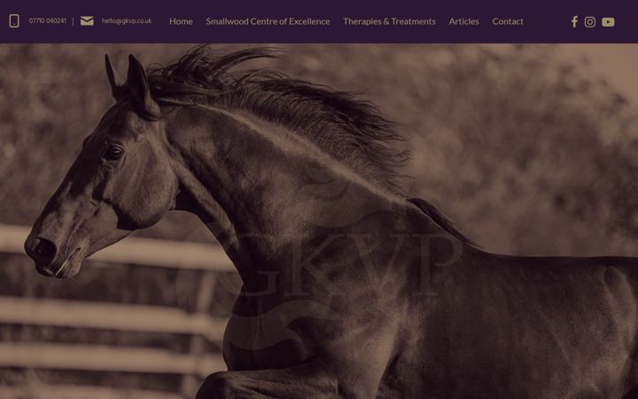 Screenshot of gkvp.co.uk