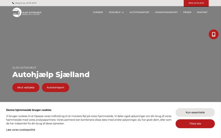 Screenshot of gladautohjaelp.dk