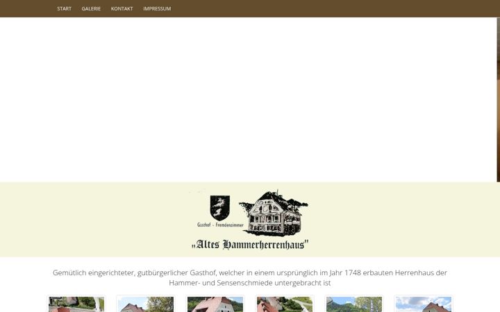 Screenshot of glaenzer.at
