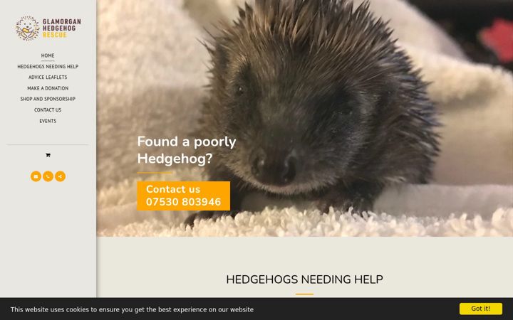Screenshot of glamorganhedgehogrescue.com