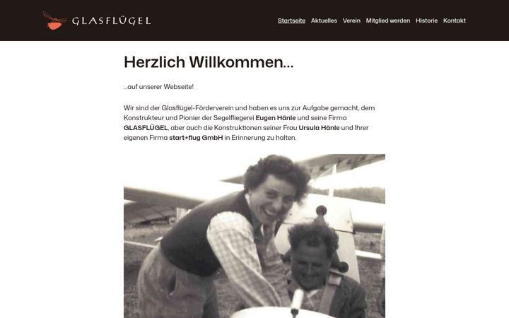 Screenshot of glasfluegel.net