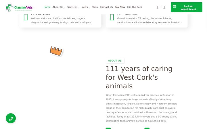 Screenshot of glasslynvets.ie