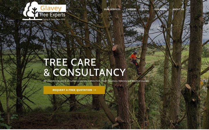 Screenshot of glaveytreeexperts.ie