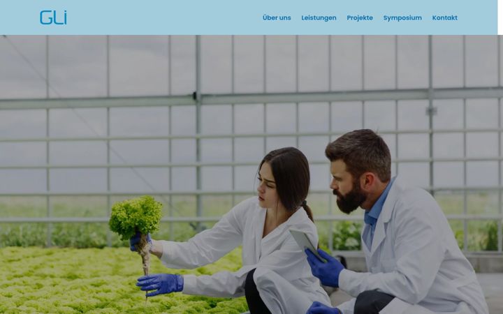 Screenshot of gli-austria.at