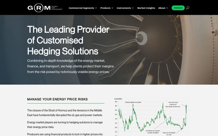 Screenshot of global-riskmanagement.com