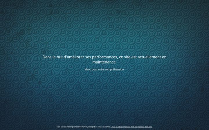 Screenshot of global-supermarche.ch