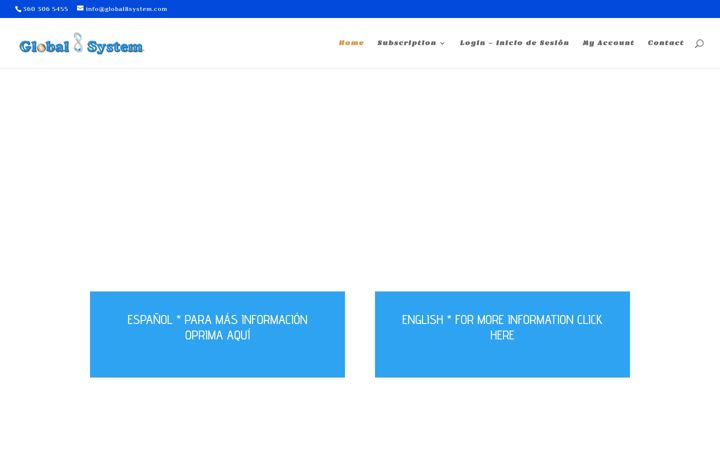 Screenshot of global8system.com