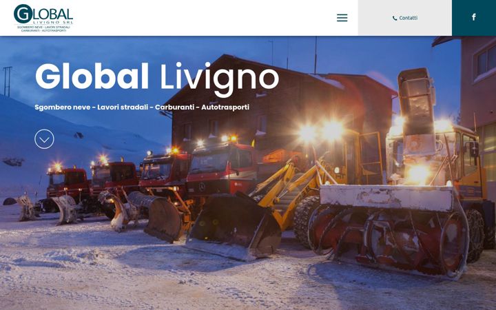 Screenshot of globallivigno.com
