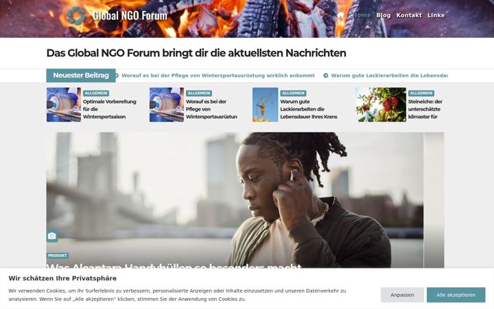 Screenshot of globalngoforum.de