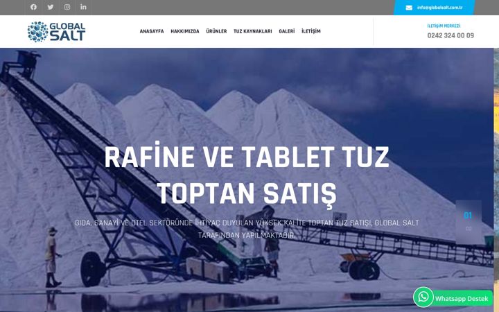 Screenshot of globalsalt.com.tr