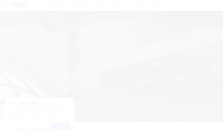 Screenshot of globalsilicones.org