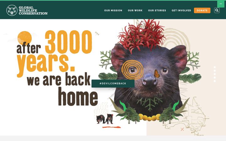 Screenshot of globalwildlife.org
