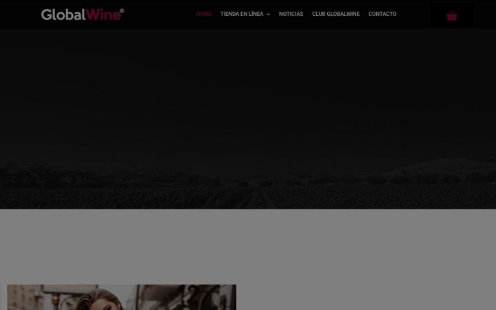 Screenshot of globalwine.app
