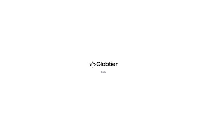 Screenshot of globtierinfotech.com