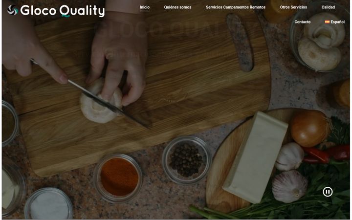 Screenshot of glocoquality.com