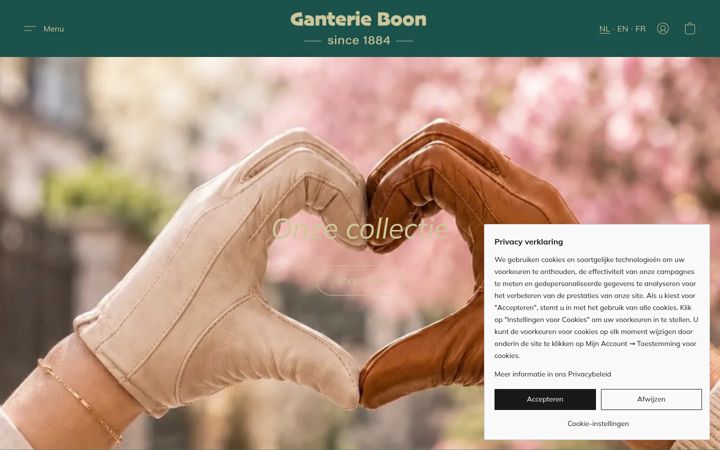 Screenshot of glovesboon.be