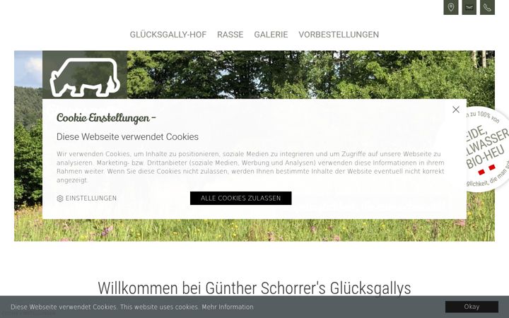 Screenshot of gluecksgally.at