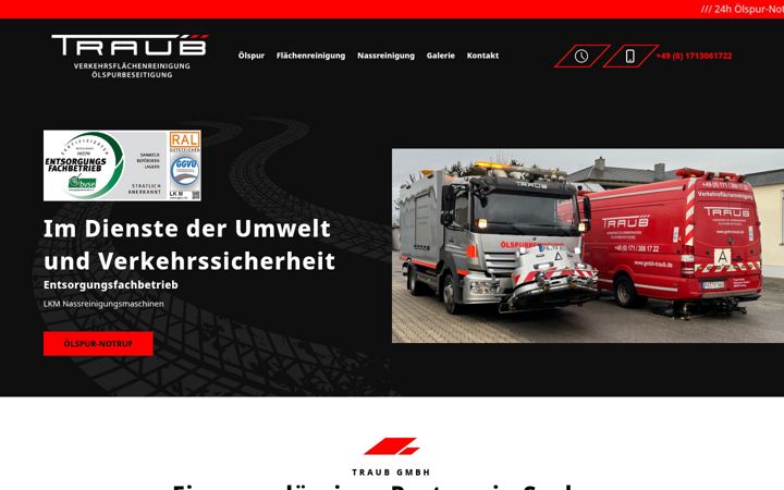 Screenshot of gmbh-traub.de