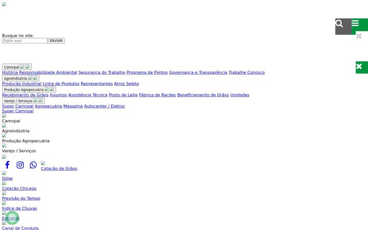 Screenshot of gmccontabilidade.com