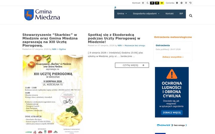 Screenshot of gmina-miedzna.pl