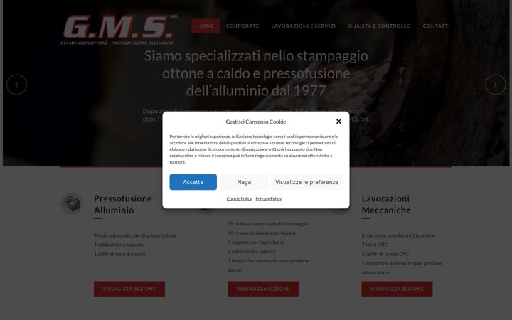 Screenshot of gmssrl.com