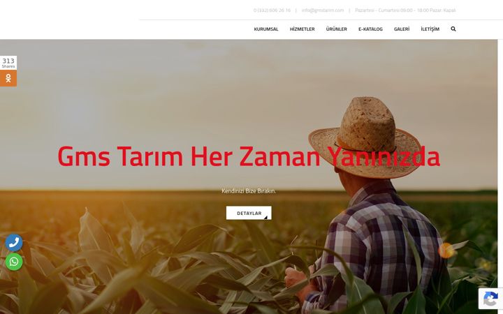 Screenshot of gmstarim.com