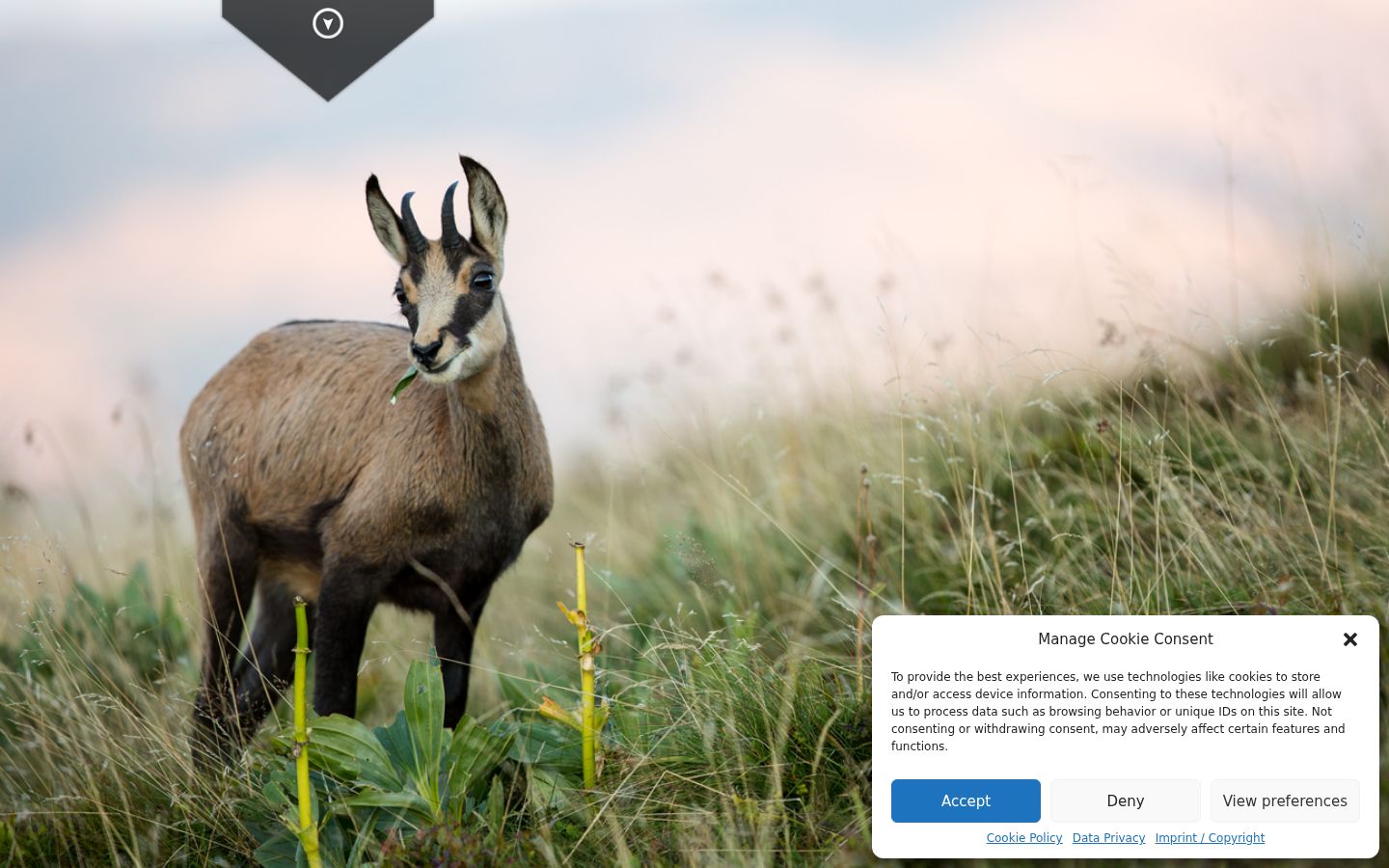 Screenshot del banner di consenso mostrato prima di qualsiasi interazione