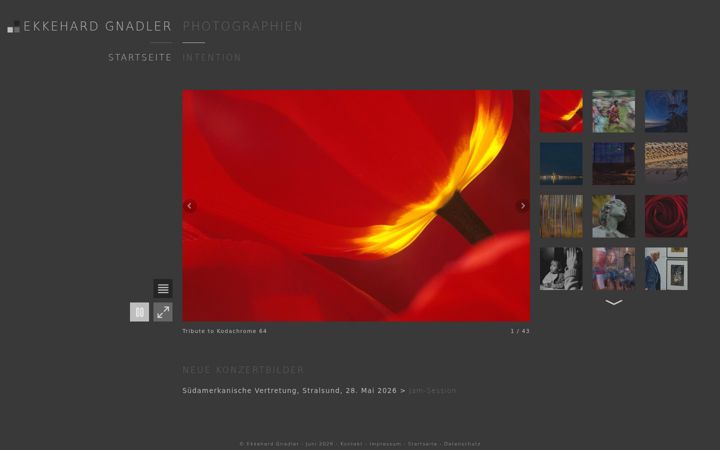 Screenshot of gnadler.de