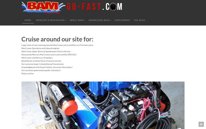 Screenshot of go-fast.com