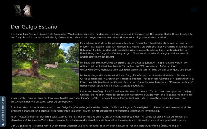 Screenshot of go-galgo-go.de