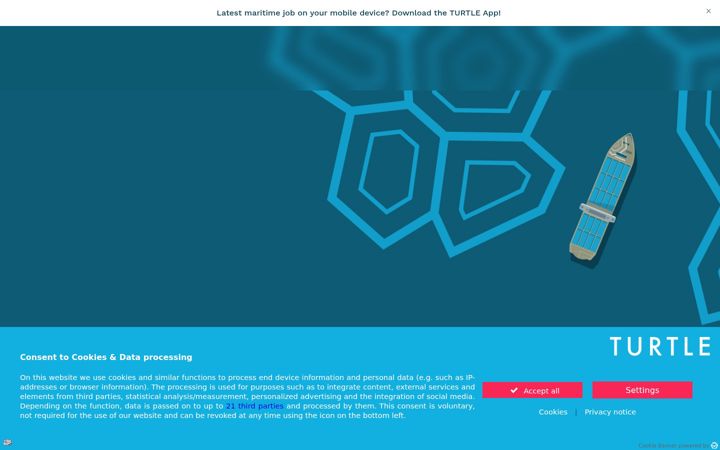 Screenshot of go-turtle.com