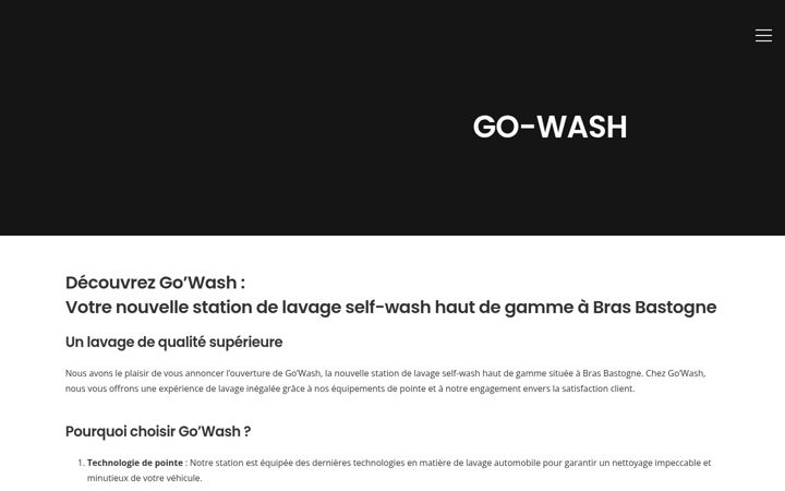 Screenshot of go-wash.be