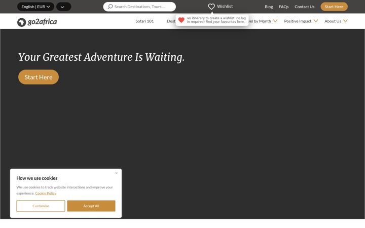 Screenshot of go2africa.com