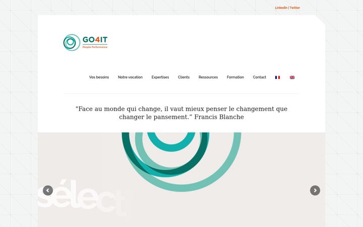 Screenshot of go4itgroup.com