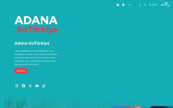 Screenshot of goadanaturkiye.com