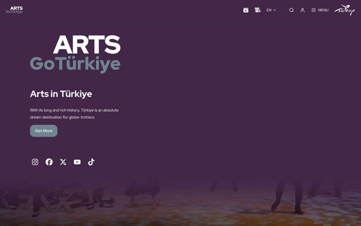 Screenshot of goartturkiye.com