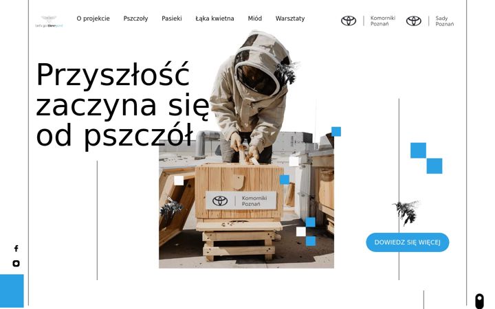 Screenshot of gobeeyond.pl